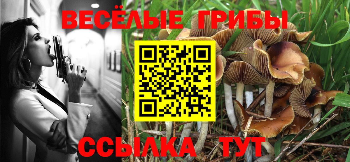 ЭКСТАЗИ  Кимры  Вход с VPN  Гашиш  МЕФ кристаллы  Бошки Шишки 