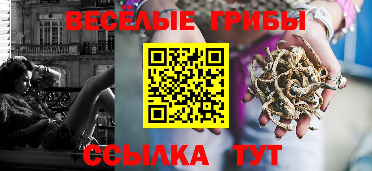 Кимры  Псилоцибиновые грибы Magic Shrooms  Вход с VPN 